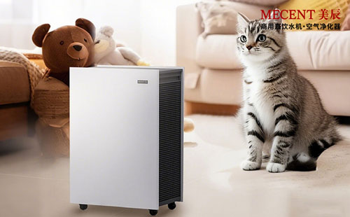 寵物家庭除味攻略：活性炭濾網(wǎng)真的能搞定寵物異味嗎？